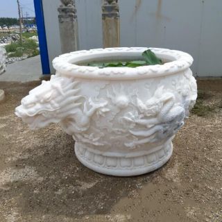 想養(yǎng)好花，怎樣選擇更適合的花盆？