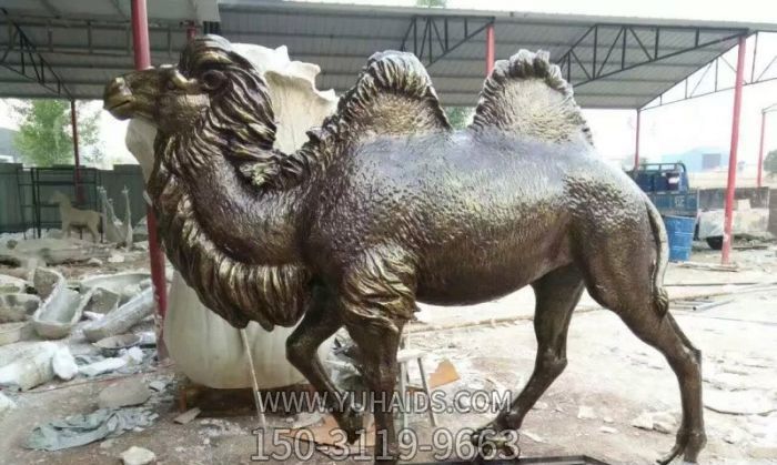 公園擺放的的黑色的不銹鋼仿真駱駝雕塑 公園擺放的的黑色的不銹鋼仿真駱駝雕塑